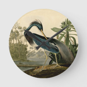 Relógio Redondo Garça-real de Audubon Louisiana