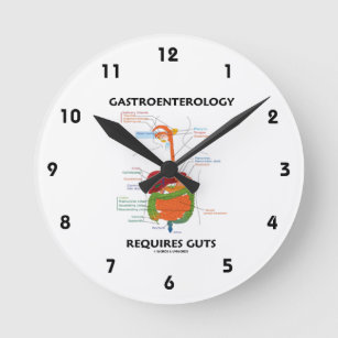 Relógio Redondo Gastroenterologia Requer Tripulação (Sistema Diges