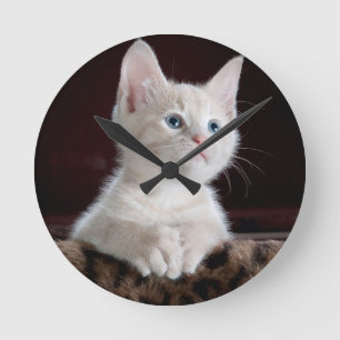 Relógio Redondo Gatinho branco super bonito