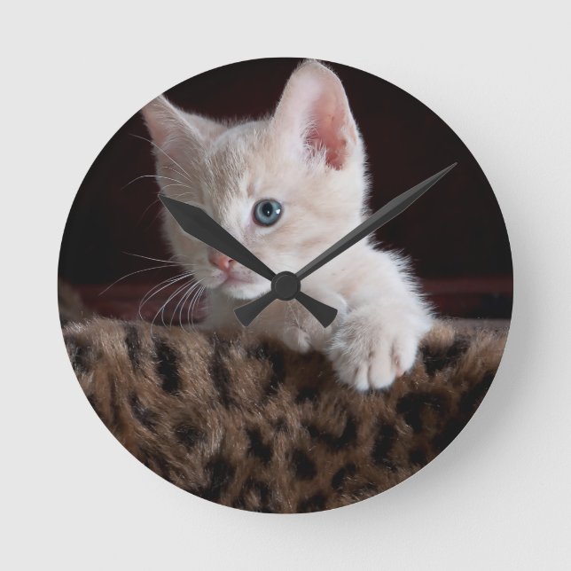 Relógio Redondo Gatinho Fofo Olhando (Frente)