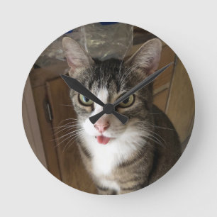 Relógio Redondo Gato
