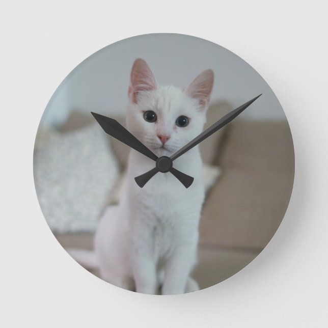 Relógio Redondo Gato branco | Zazzle_Growth. (Frente)