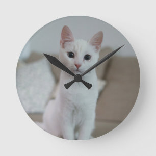 Relógio Redondo Gato branco   Zazzle_Growth.