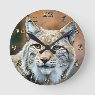 Relógio Redondo Gato do predador dos animais selvagens do lince do