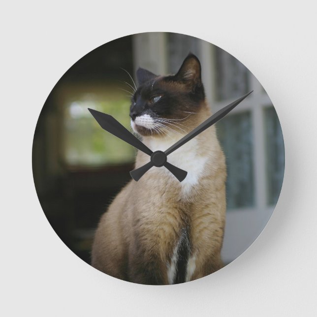 Relógio Redondo Gato Siamês no Porch (Frente)