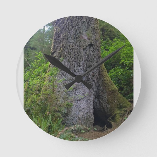 Relógio Redondo Giant Spruce Tree, Cabo Perpétua, Oregon (Frente)