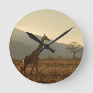 Relógio Redondo Girafa na Savana