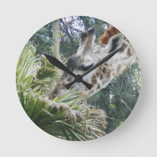 Relógio Redondo Giraffe Comendo Almoço