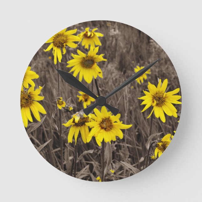 Relógio Redondo Girassol na Montanha Rochosa (Frente)
