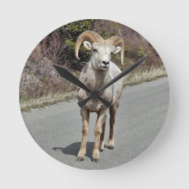 Relógio Redondo Grande Ovelha de Chifre