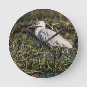 Relógio Redondo Igrid