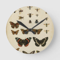 Insetos do Jardim pelo Vision Studio