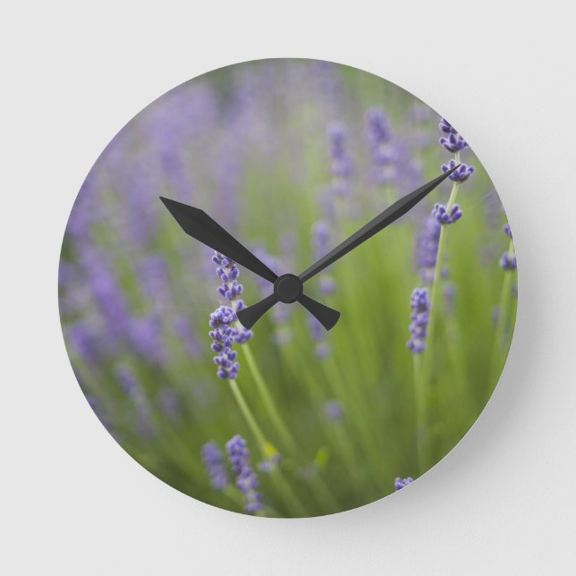 Relógio Redondo Instalações de Lavanda 2 (Frente)