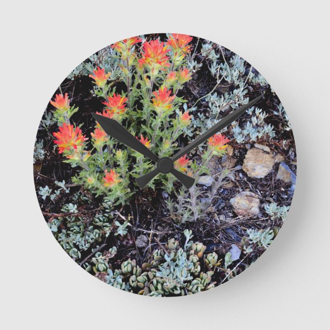 Relógio Redondo Jardim Miniatura no Lago Gem (Frente)