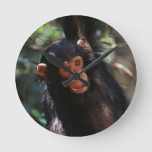 Relógio Redondo Jovem Chimpanzé