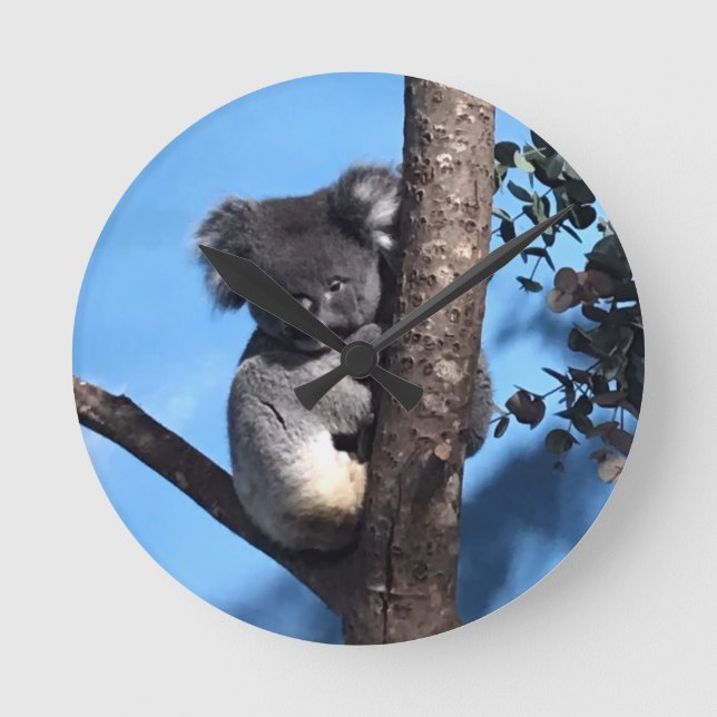 Relógio Redondo Koala giro numa árvore com fundo azul (Frente)