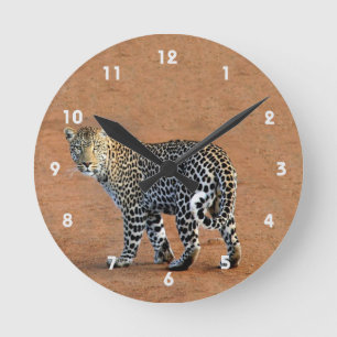 Relógio Redondo Leopardo selvagem na África