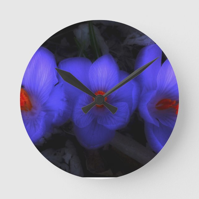 Relógio Redondo Lindos Blooms de Crocus Azul Roxo (Frente)