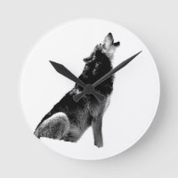 Lobo-de-Howling Branco-Preto