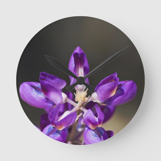 Relógio Redondo Lupine Wonder (Frente)