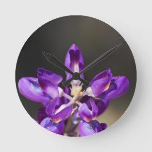 Relógio Redondo Lupine Wonder