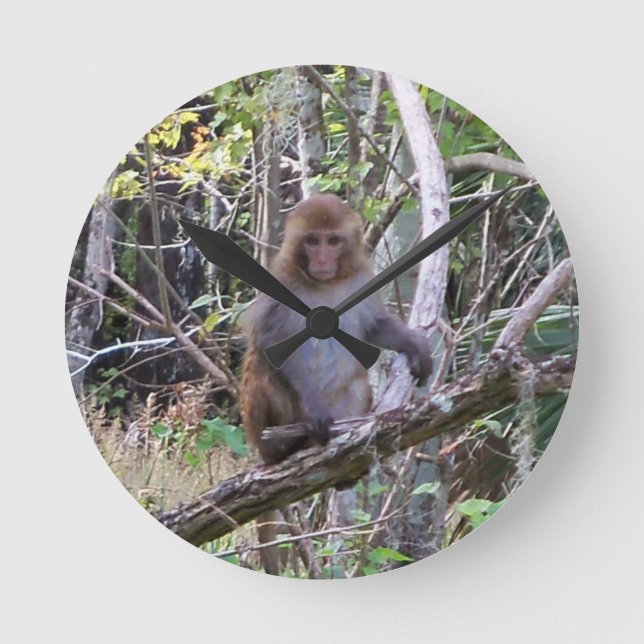 Relógio Redondo macaco rhesus (Frente)