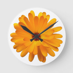 Relógio Redondo Marigold