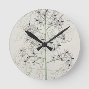 Relógio Redondo Melia Azedarach de "Phytographie Medicale" por Jo