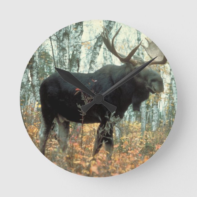 Relógio Redondo Moose Forest Trees Park Animal Willife Art (Frente)