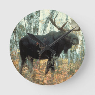 Relógio Redondo Moose Forest Trees Park Animal Willife Art