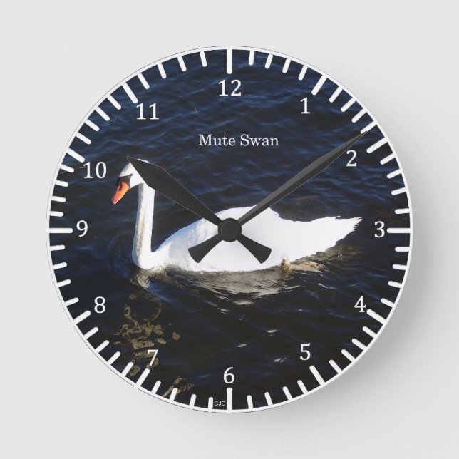 Relógio Redondo Mute Swan clock (Frente)