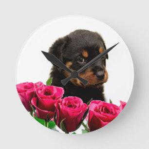 Relógio Redondo Namorados Rosa Rottweiler