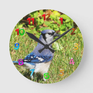 Relógio Redondo Norte Blue Jay