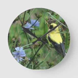 Relógio Redondo O Goldfinch selvagem do passarinho floresce o