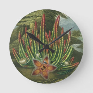 Relógio Redondo O Stapelia do Larva-Rolamento, gravado por