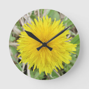 Relógio Redondo Orgulhosa Flor Dandelion.