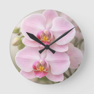 Relógio Redondo Orquídea Phalaenopsis Rosa Suave