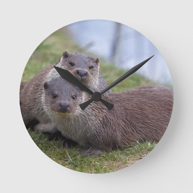 Relógio Redondo Otterly no pulso de disparo do amor (Frente)