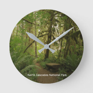Relógio Redondo Parque Nacional da Floresta Pacífica no Norte de C