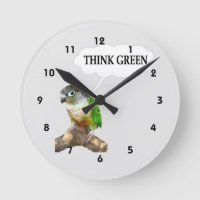 Pense verde verde de Conure do mordente