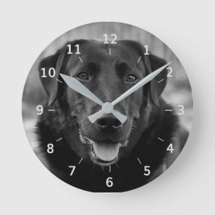 Relógio Redondo Pet Dog Square Wall Clock, Foto do Labrador Negro