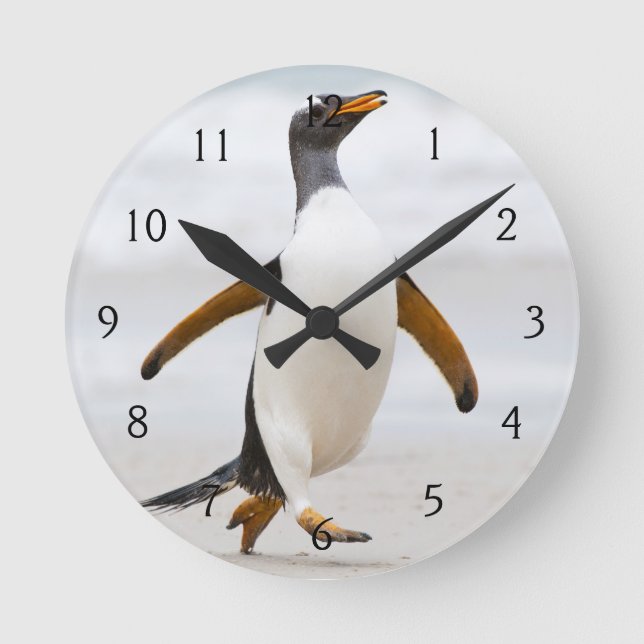 Relógio Redondo Pinguim de Gentoo (Frente)