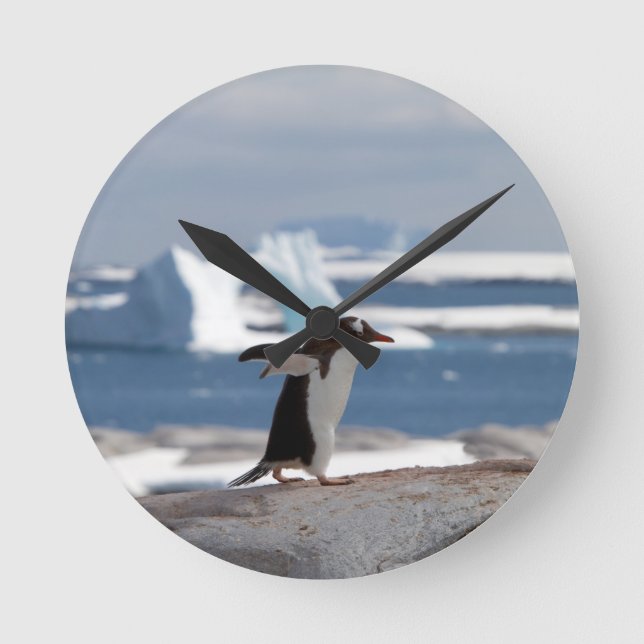 Relógio Redondo Pinguim em frente a um arco de gelo (Frente)