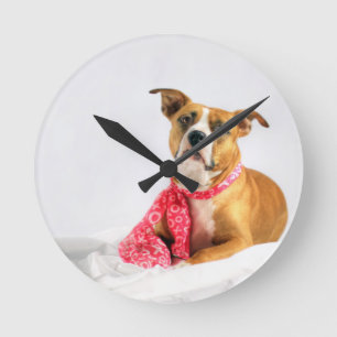 Relógio Redondo Pit Bull Puppy Love in Pink XOXO