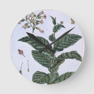Relógio Redondo Planta de tabaco, placa 7, 'da coleção Precieuse