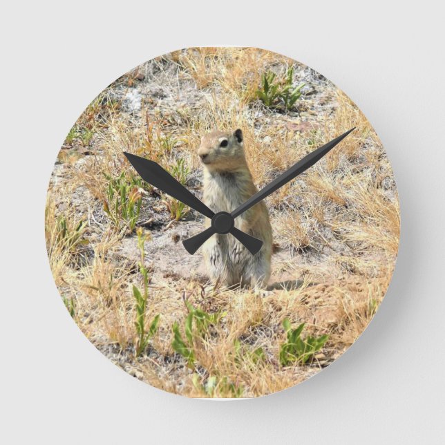 Relógio Redondo Prairie Dog em Yosemite, CA (Frente)