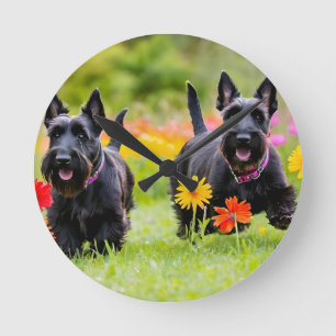 Relógio Redondo Prances Scottish Terriers em erva e flores