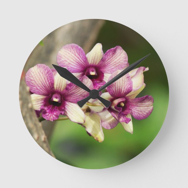 Relógio Redondo Prazer da orquídea (Frente)