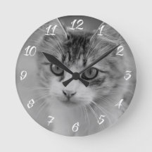 Presente Memorial Pet Photo Keepsaee