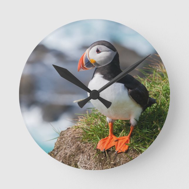 Relógio Redondo Puffin Fratercula Arctica (Frente)